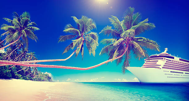 istock Cruise Ship Beach Sea Palm Tree Concept 487003964