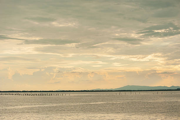 istock sunset at coast of the sea background 487008456