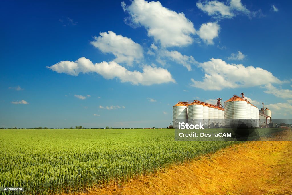 Agricultural silos under blue sky, in the fields Silo Stock Photo