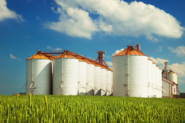istock Agricultural silos under blue sky, in the fields 487008886