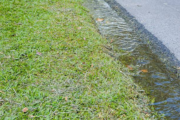 istock Trough filled with water in the garden 487010014