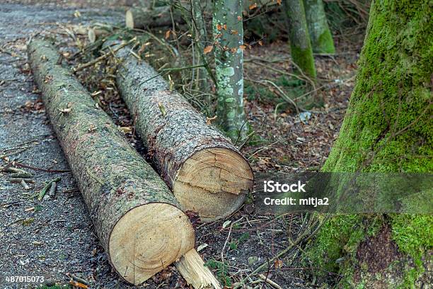 Photo libre de droit de Bûches En Bois banque d'images et plus d'images libres de droit de Arbre - Arbre, Bois, Bois coupé