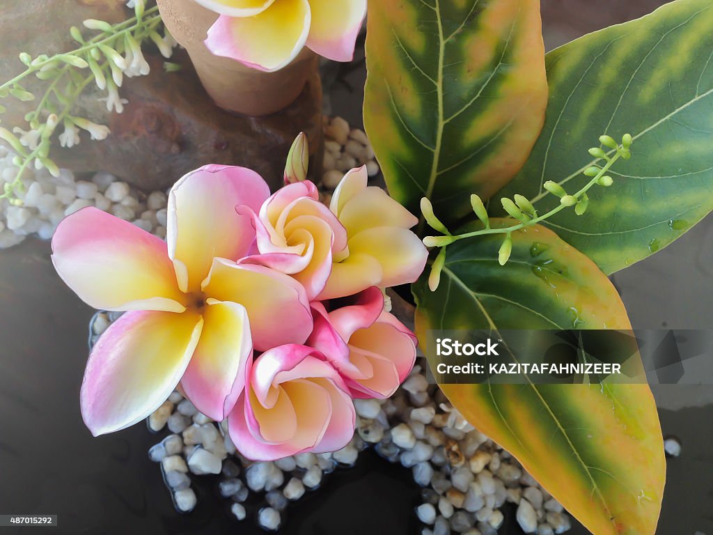 Foto de Mini Buquê De Flores De Jasmimmanga Que Em Navio Pequeno e mais  fotos de stock de 2015 - iStock