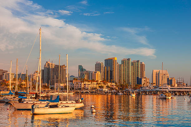 istock San Diego Skyline, California 487015377