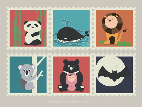 A collection of mammal animals. Panda in the bamboo forest; Gray whale swim in the ocean; Lion on the grassland; Koala climb up the tree; Formosa black bear with little baby; Bat fly under the moonlight.
