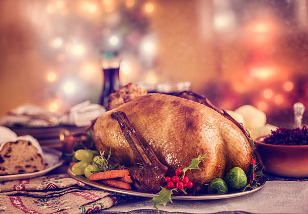 Traditional German holiday Goose Dinner with Dumplings and Red Cabbage