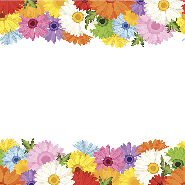 ilustraciones, imágenes clip art, dibujos animados e iconos de stock de horizontal fondo sin costuras con flores gerbera.  ilustración vectorial. - in a row multi colored bright yellow