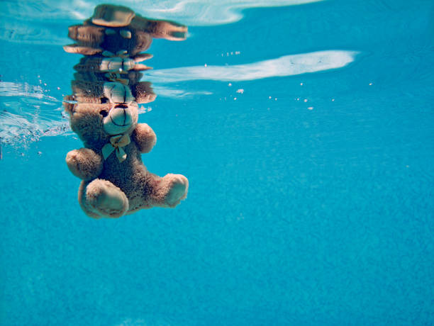 2,492 Drowned Animal Stock Photos, Pictures & Royalty-Free Images - iStock | Trees flood, Beaver dam, Beaver 2,492 Drowned Animal Stock Photos, Pictures & Royalty-Free Images - iStock | Trees flood, Beaver dam, Beaver