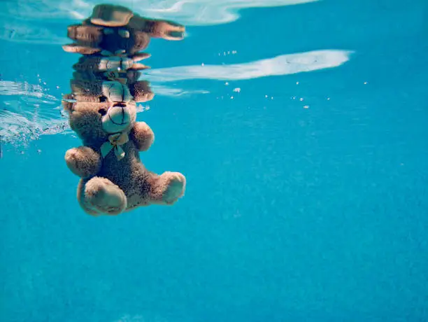 Photo of teddy bear drowning underwater