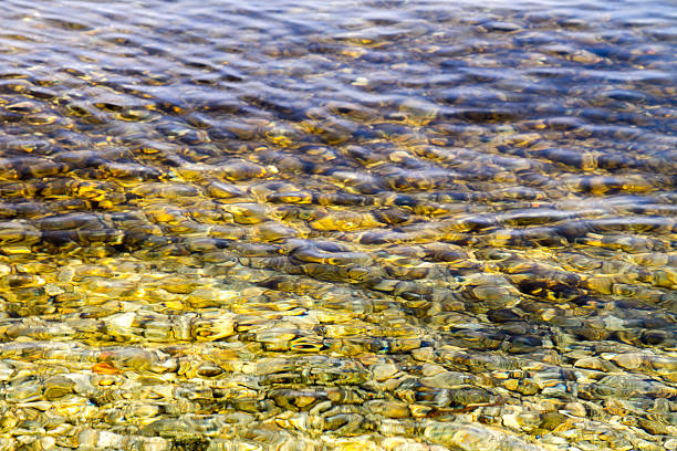 istock of clear water near the shore with pebbles at the bottom 487020649