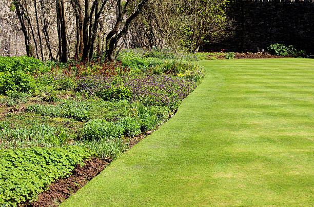 istock Image of herbaceous border in the spring, next to lawn 487020699