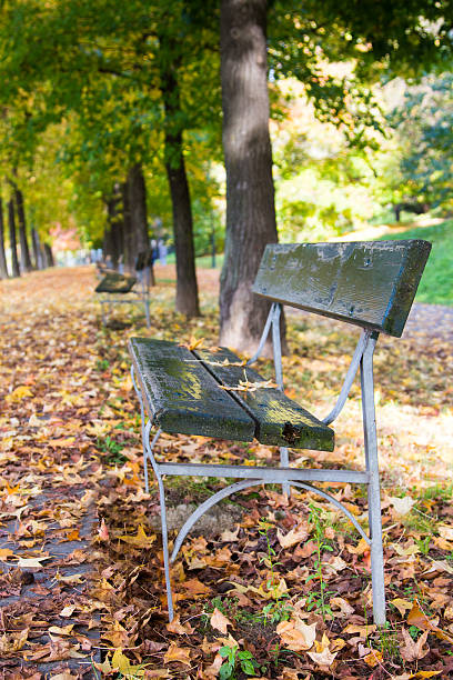 istock Bench in public garden 487021763