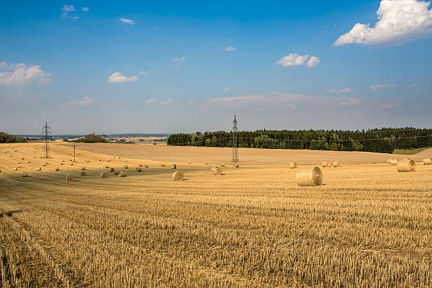 istock Beautiful landscape with straw bales in harvested fields 487022088