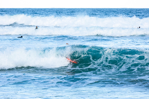 Group of surfers surfing the waves in Bate Bay Pacific ocean, Cronulla Australia, full frame horizontal composition with copy space.