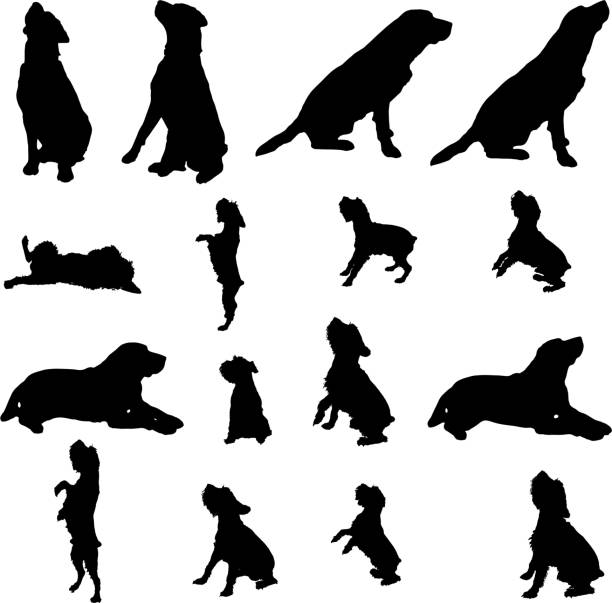 ilustraciones, imágenes clip art, dibujos animados e iconos de stock de vector siluetas de perros. - dog sitting
