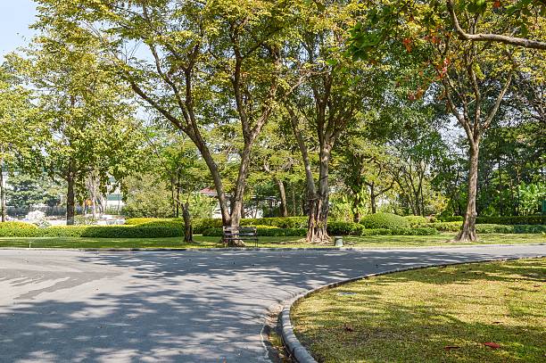 istock road in nature garden 487025894