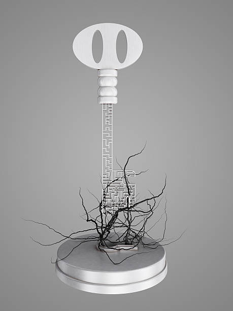 istock The key is a maze, With roots from the keyhole. 487026144
