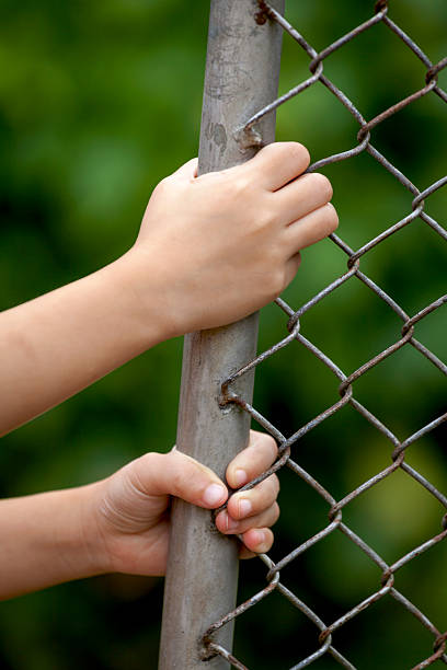 istock Girl hands holding wire fence 487026974