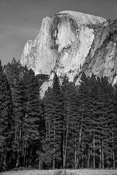 istock Half Dome in Black and White - Yosemite 487027242