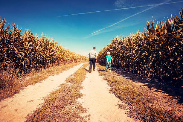 istock Fother and son in a field 487027446