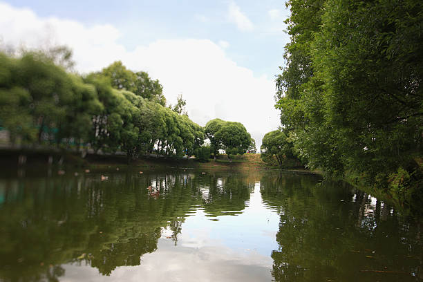 istock landscape park in the city summer 487028694