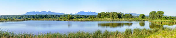 istock panorama of Iona Beach Regional Park, Richmond, BC, Canada 487028700
