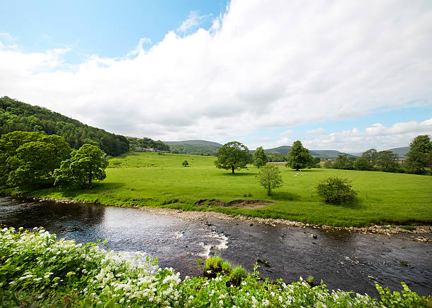 istock Fields on the banks of the River Hodder 487031002