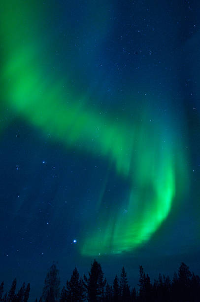 Aurora Borealis Aurora Borealis above boreal forest. 20 sec exposure with high ISO 1600. Moderate level of noise. boreal forest stock pictures, royalty-free photos & images