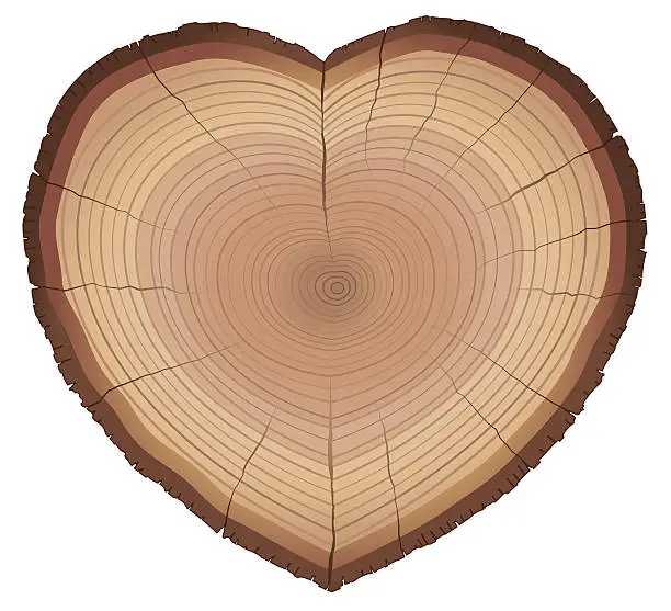 Vector illustration of Love Nature Wood Rings Heart Shaped Symbol