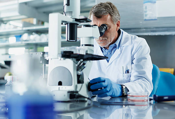 scientist looking through microscope - científica fotografías e imágenes de stock