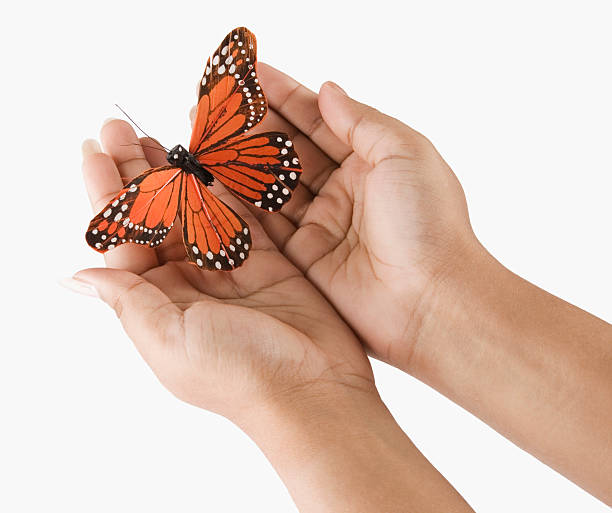 istock Woman hands holding a butterfly 487042476