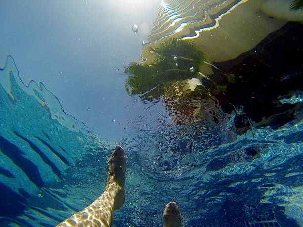 istock Hawaiian Resort from Underwater 487047939