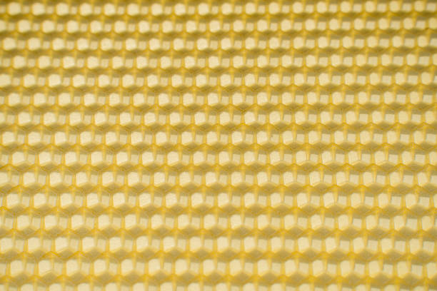 istock New honeycomb without honey, background 487049124
