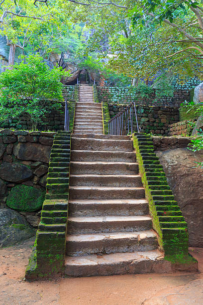 istock Stairs in old Sigiriya Castle 487049572