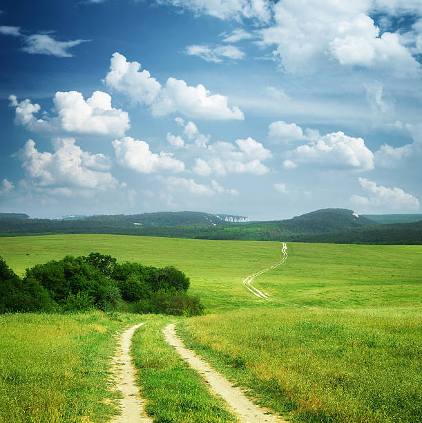 istock Lane in meadow and deep blue sky. 487049709