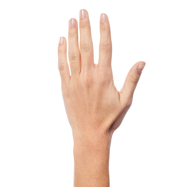 istock Back side of a woman hand 487050125