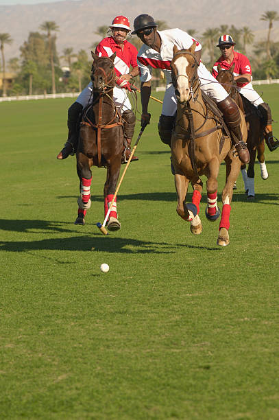 istock Couple Celebrating with Champagne at a Polo Match 487050541