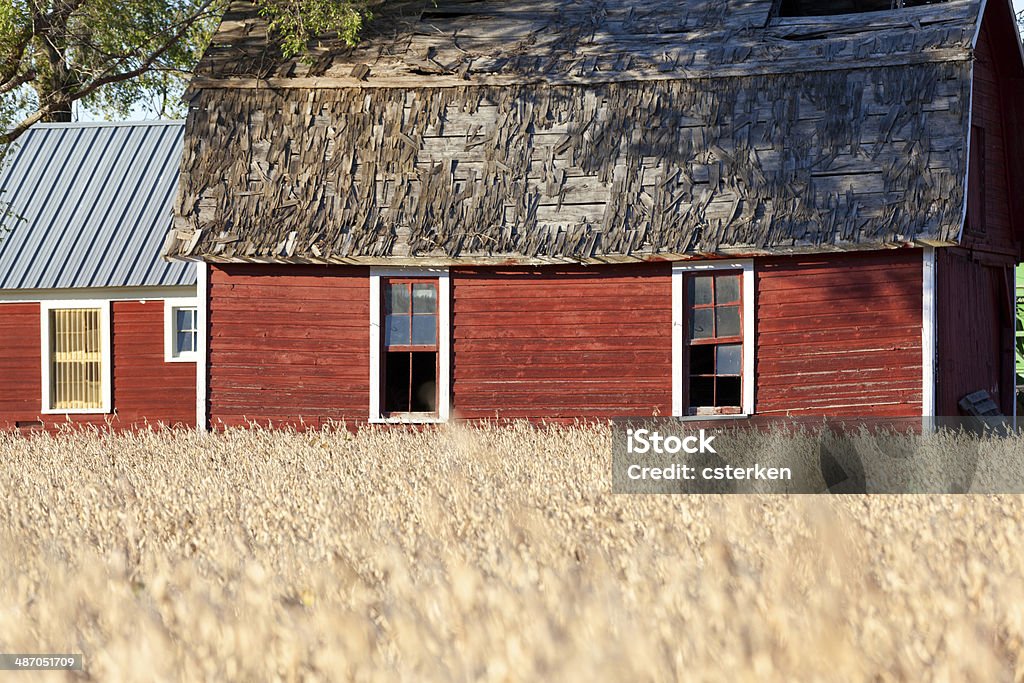 Red Barns Red Barns contrast with the golden color of the wheat field in the foregournd of this country scene Agricultural Field Stock Photo