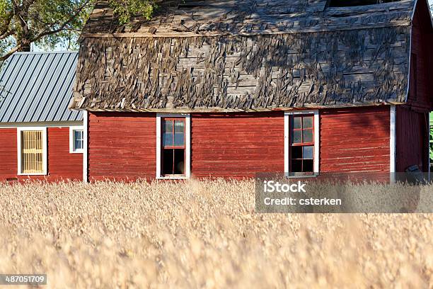 Red Barns Stock Photo - Download Image Now - Agricultural Field, Agriculture, Barn