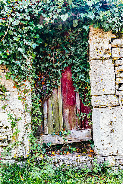 istock Old French garden door 487054240