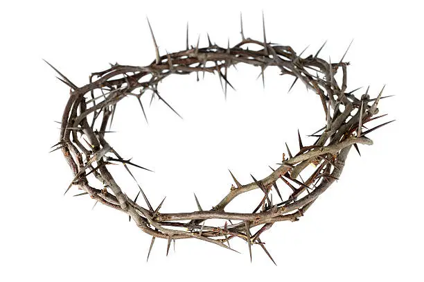 Crown of thorns isolated over white background