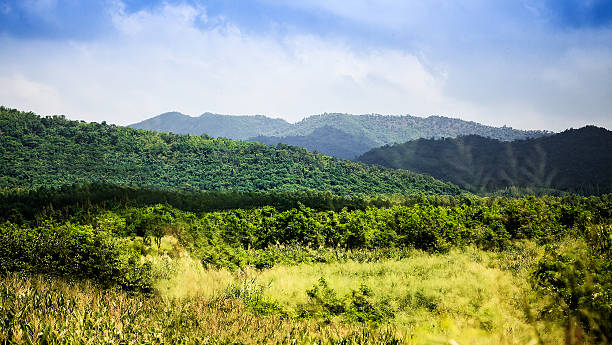 istock Green field and Mountain tropical rainforest. 487066754