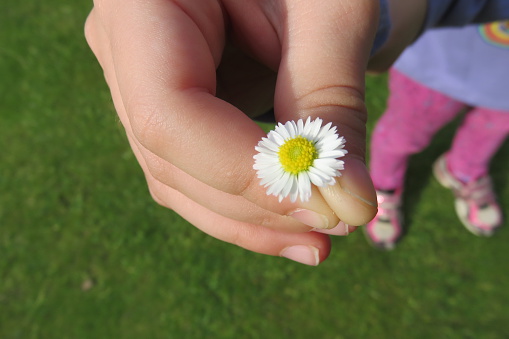 Little Girl Holding Flower
