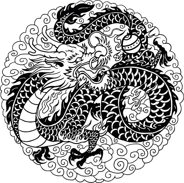 중국 용 - oriental dragon stock illustrations