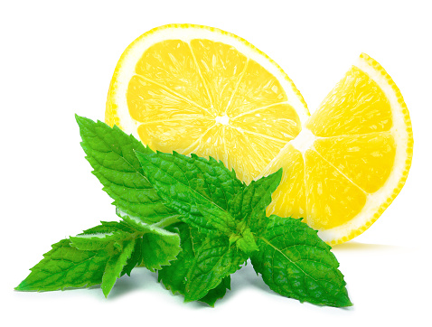 lemon slices and mint leaves isolated on white