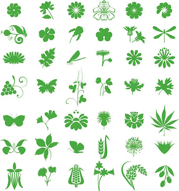 Vector illustration of Green natural set