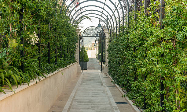 istock green arcs made of tropical plants above pedestrian pathway 487071422