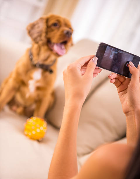istock Woman and dog 487072156