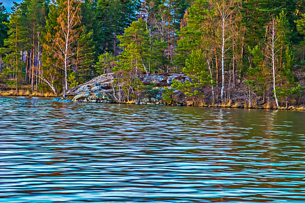 istock Beautiful summer scene by a lake 487074803