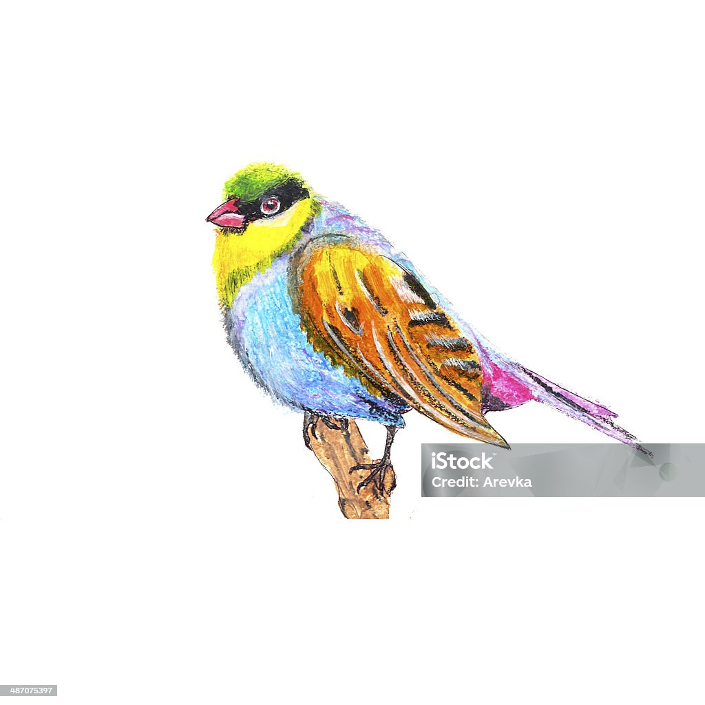 鳥 - アクリル画のロイヤリティフリーストックイラストレーション